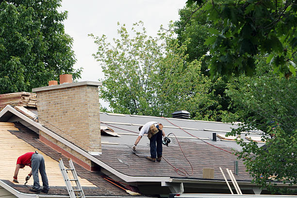 Best Roof Gutter Cleaning  in Munford, TN